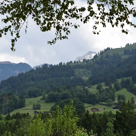 Casa Fiori Wengi Διαμέρισμα Frutigen
